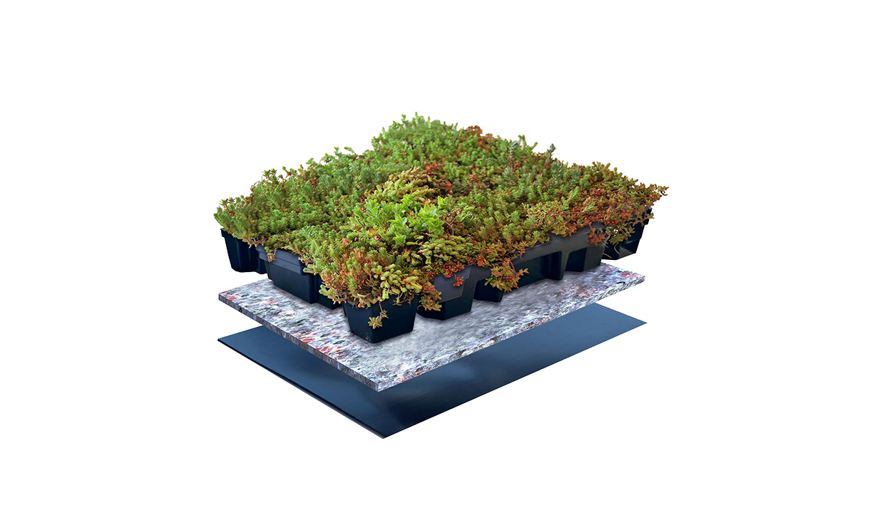 Click 'n Go Light sedumdakpakket • Gras en Groen Winkel